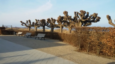 Promenade im Fruehjahr